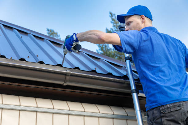 Best Roof Ventilation Installation  in Campbellsville, KY