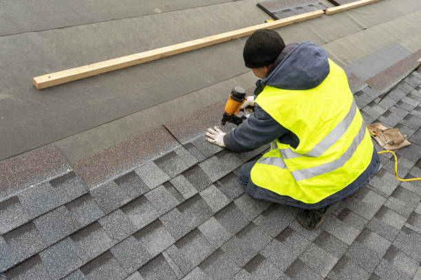 Best Roof Moss and Algae Removal  in Campbellsville, KY